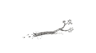 Ilustración de Anatol Lapifia 2