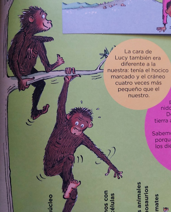 Ilustración de Todos somos parientes