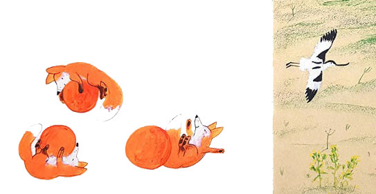 Ilustración de Zorrito