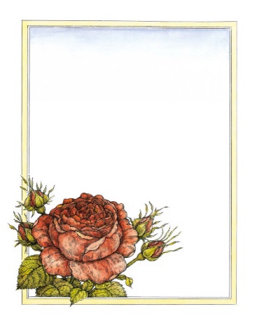 Ilustración de La Rosa de mi Jardín