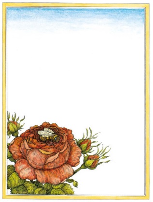 Ilustración de La Rosa de mi Jardín