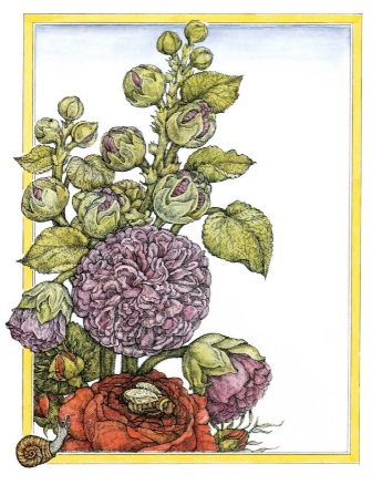 Ilustración de La Rosa de mi Jardín