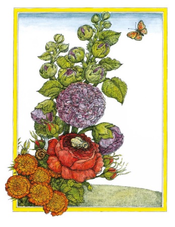 Ilustración de La Rosa de mi Jardín