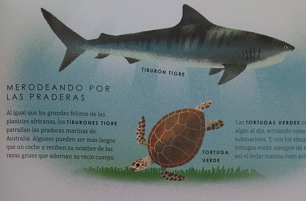 Ilustración de PLANETA AZUL II