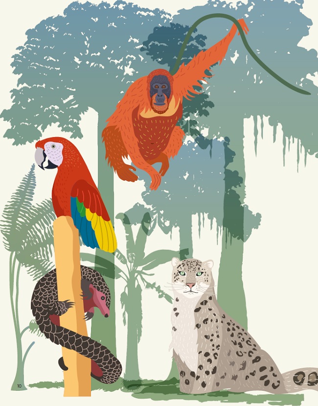 Ilustración de NUESTRO PLANETA