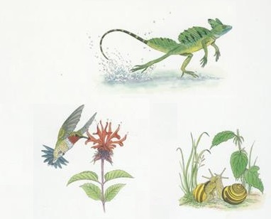 Ilustración de VIVIR