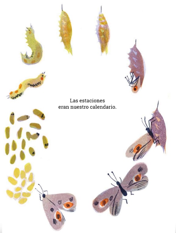 Ilustración de SOMOS ANIMALES HUMANOS
