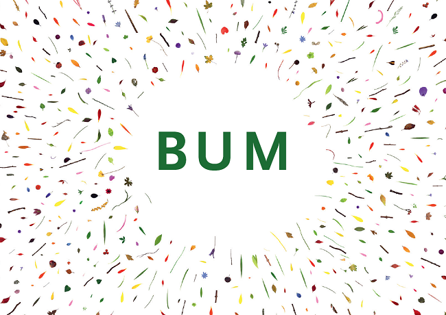 Ilustración de Aquí hay dragones