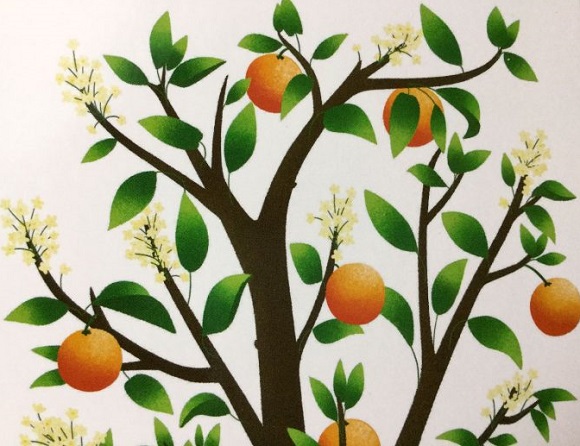 Ilustración de FRUTAS DE TEMPORADA