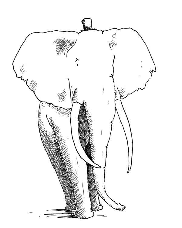 Ilustración de El elefante