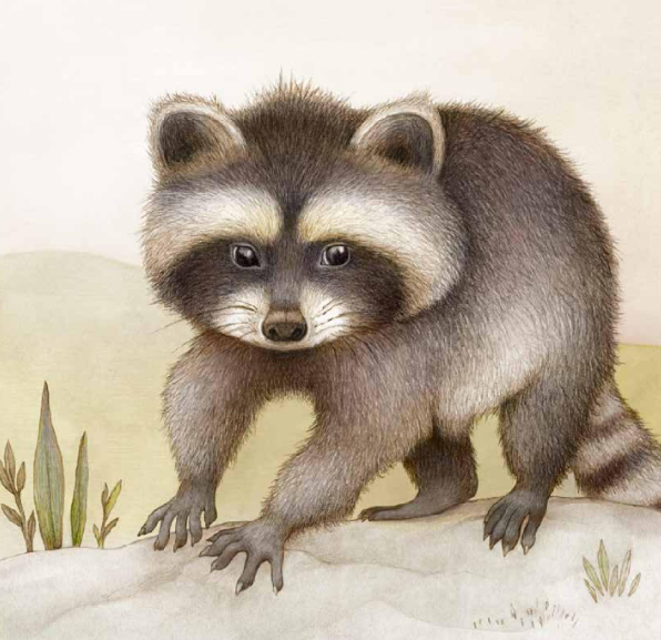 Ilustración de ¿Quién soy?