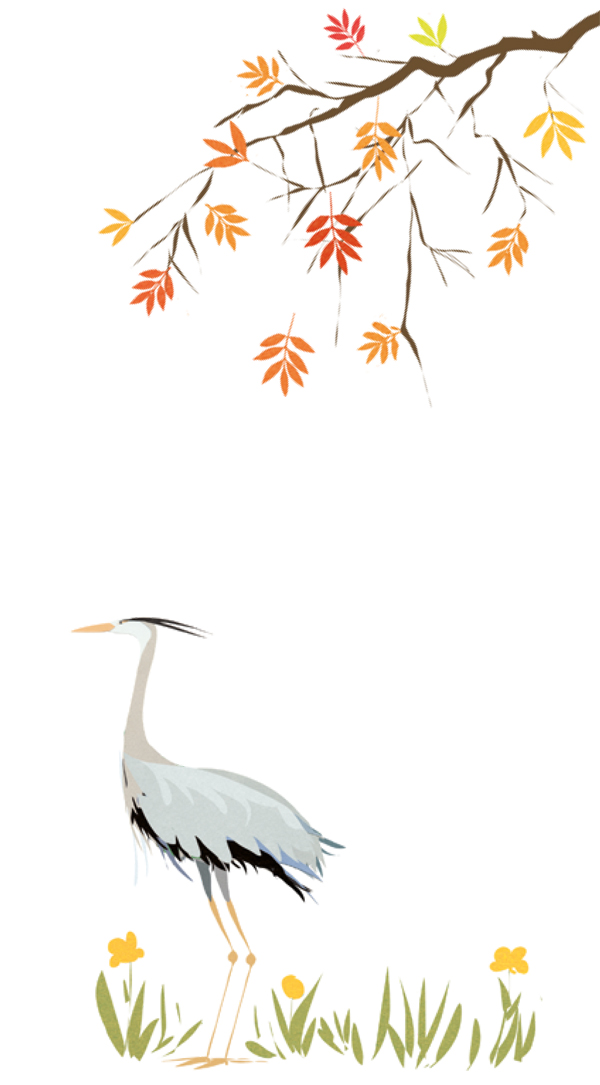 Ilustración de Tesoros naturales que debemos proteger