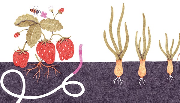 Ilustración de FRANTI¦EK EL DEL COMPOST