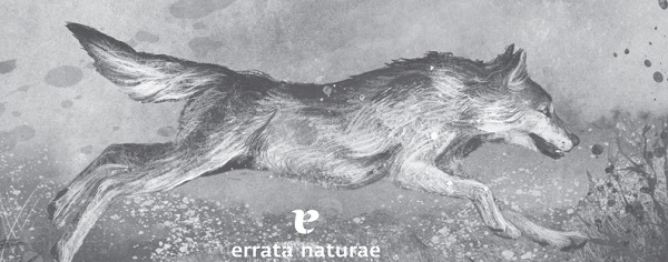 Ilustración de Un lobo llamado Wander