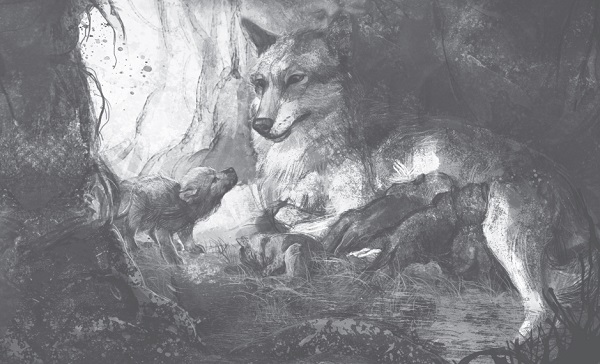Ilustración de Un lobo llamado Wander