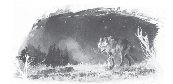 Ilustración de Un lobo llamado Wander