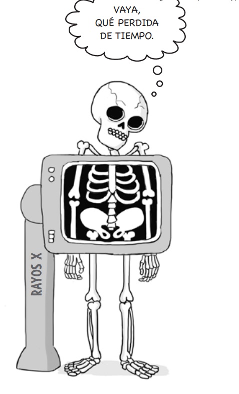 Ilustración de Anatomía de Kay