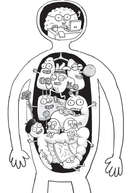 Ilustración de Anatomía de Kay
