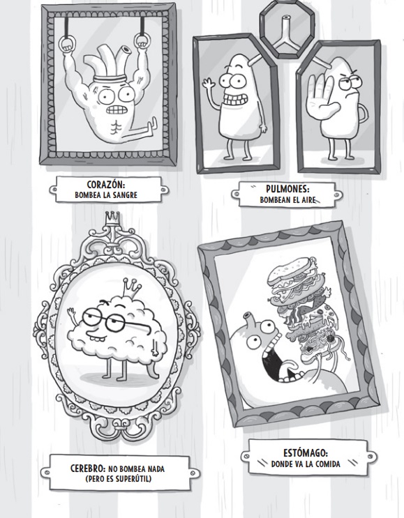 Ilustración de Anatomía de Kay