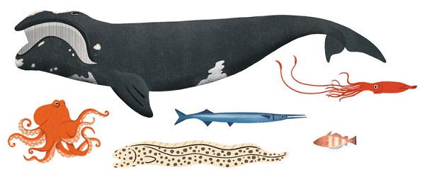 Ilustración de El gran libro del agua
