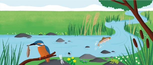 Ilustración de El gran libro del agua
