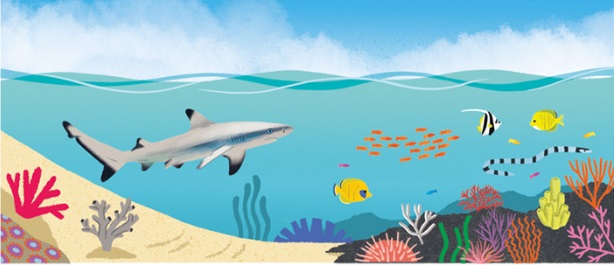 Ilustración de El gran libro del agua