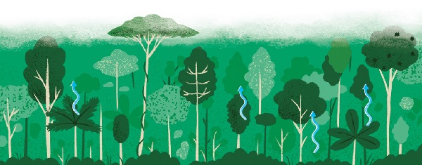 Ilustración de El gran libro del agua