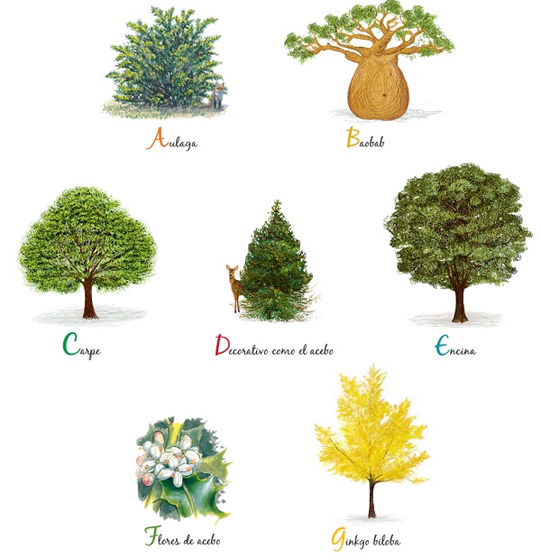 Ilustración de El libro de los árboles