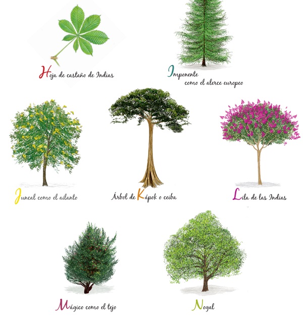 Ilustración de El libro de los árboles