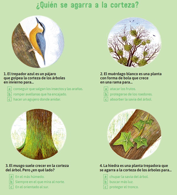 Ilustración de El libro de los árboles