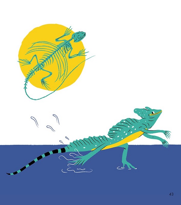 Ilustración de Vertebrados versátiles