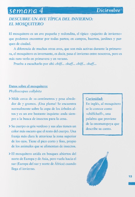 Ilustración de Un año entero