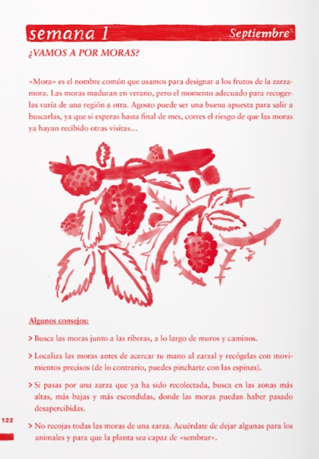 Ilustración de Un año entero