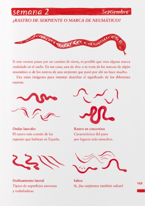 Ilustración de Un año entero