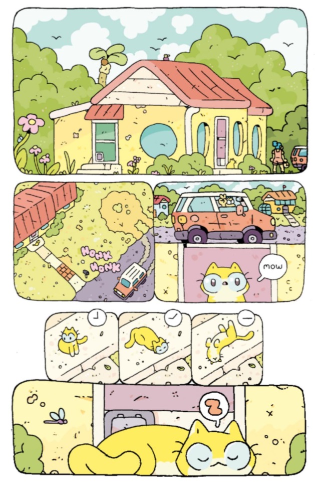 Ilustración de PROBLEMAS GATUNOS