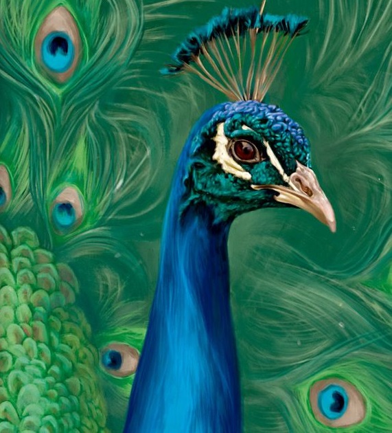 Ilustración de Evolución en acción