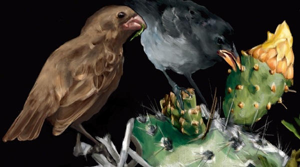Ilustración de Evolución en acción