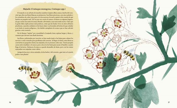 Ilustración de Viriditas