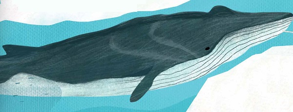 Ilustración de Explora la Antártida en 360 grados