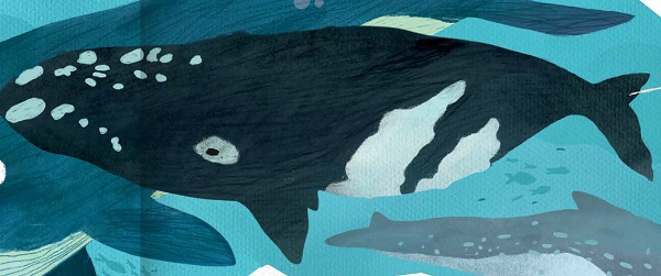 Ilustración de Explora la Antártida en 360 grados