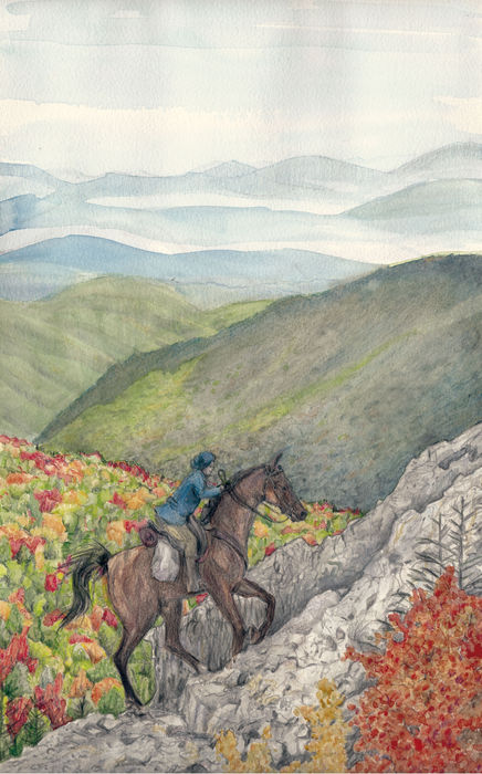 Ilustración de Bibliotecarias a caballo