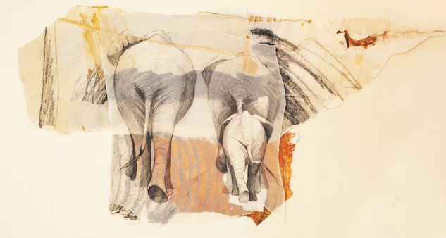 Ilustración de El viaje de Nala