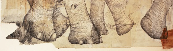 Ilustración de El viaje de Nala