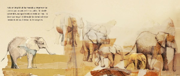Ilustración de El viaje de Nala