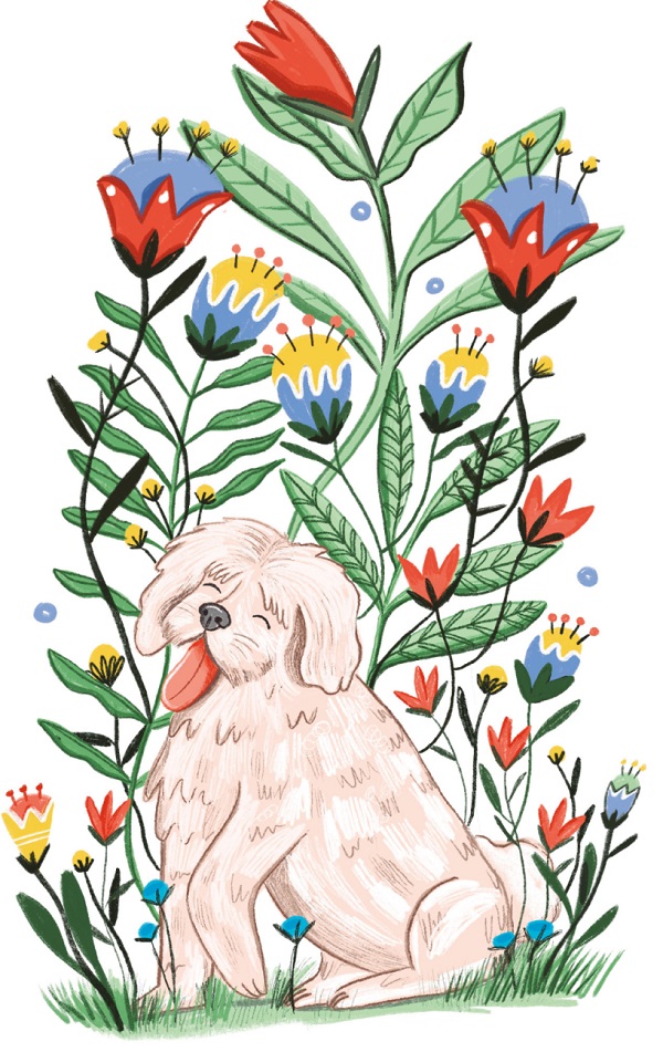 Ilustración de Aleluyas para mi perrito Perico