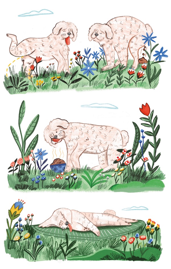 Ilustración de Aleluyas para mi perrito Perico