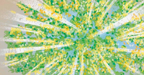 Ilustración de Redescubrir el mundo