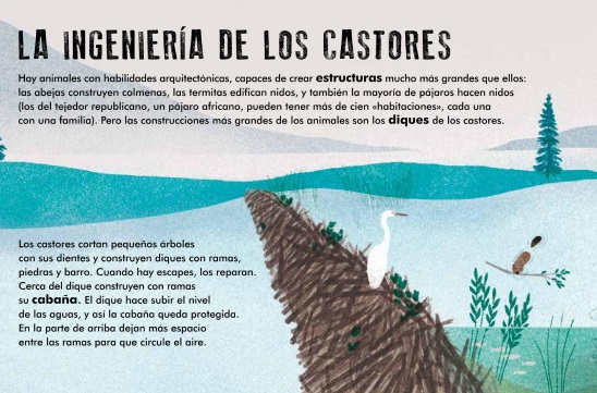 Ilustración de Redescubrir el mundo