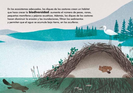 Ilustración de Redescubrir el mundo