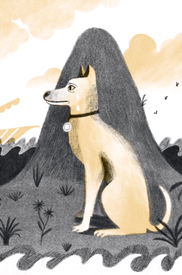 Ilustración de Animales divinos